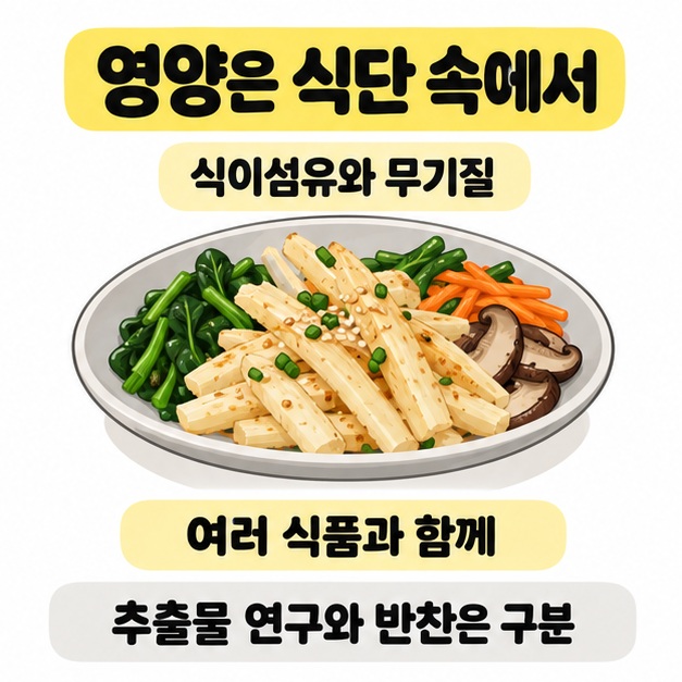 더덕과 여러 채소가 담긴 접시를 식이섬유와 무기질 및 여러 식품과 함께 문구로 설명하고 추출물 연구와 반찬은 구분한다고 적은 이미지