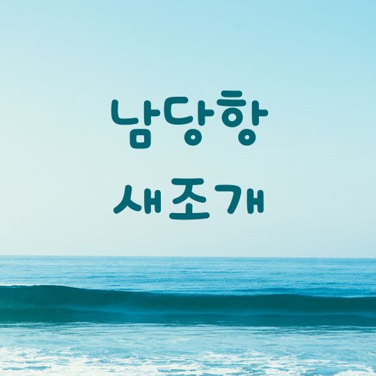 남당항 새조개 겨울철 서해안 별미와 축제 정보