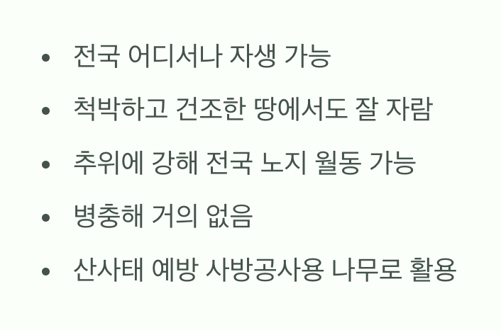 척박한 땅에서도 잘 자라는 강인한 생명력