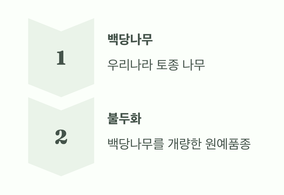 사실은 '가족', 하지만 다른 운명