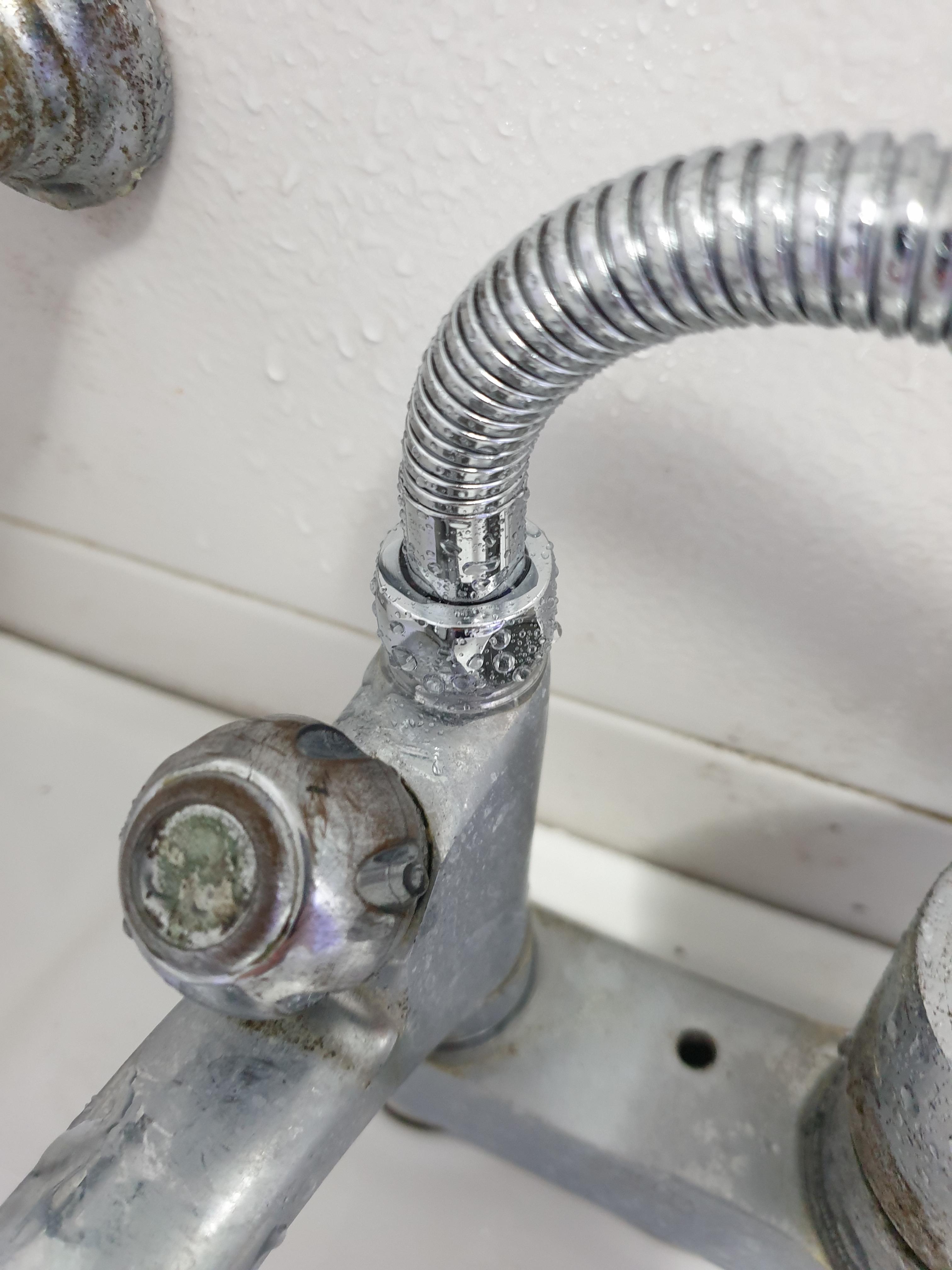 다이소 샤워호스