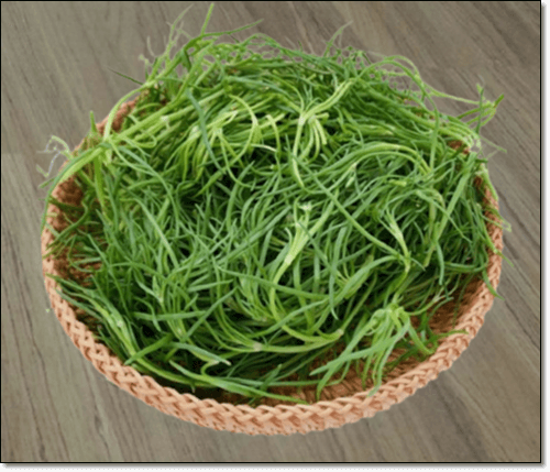 신선한 세발나물