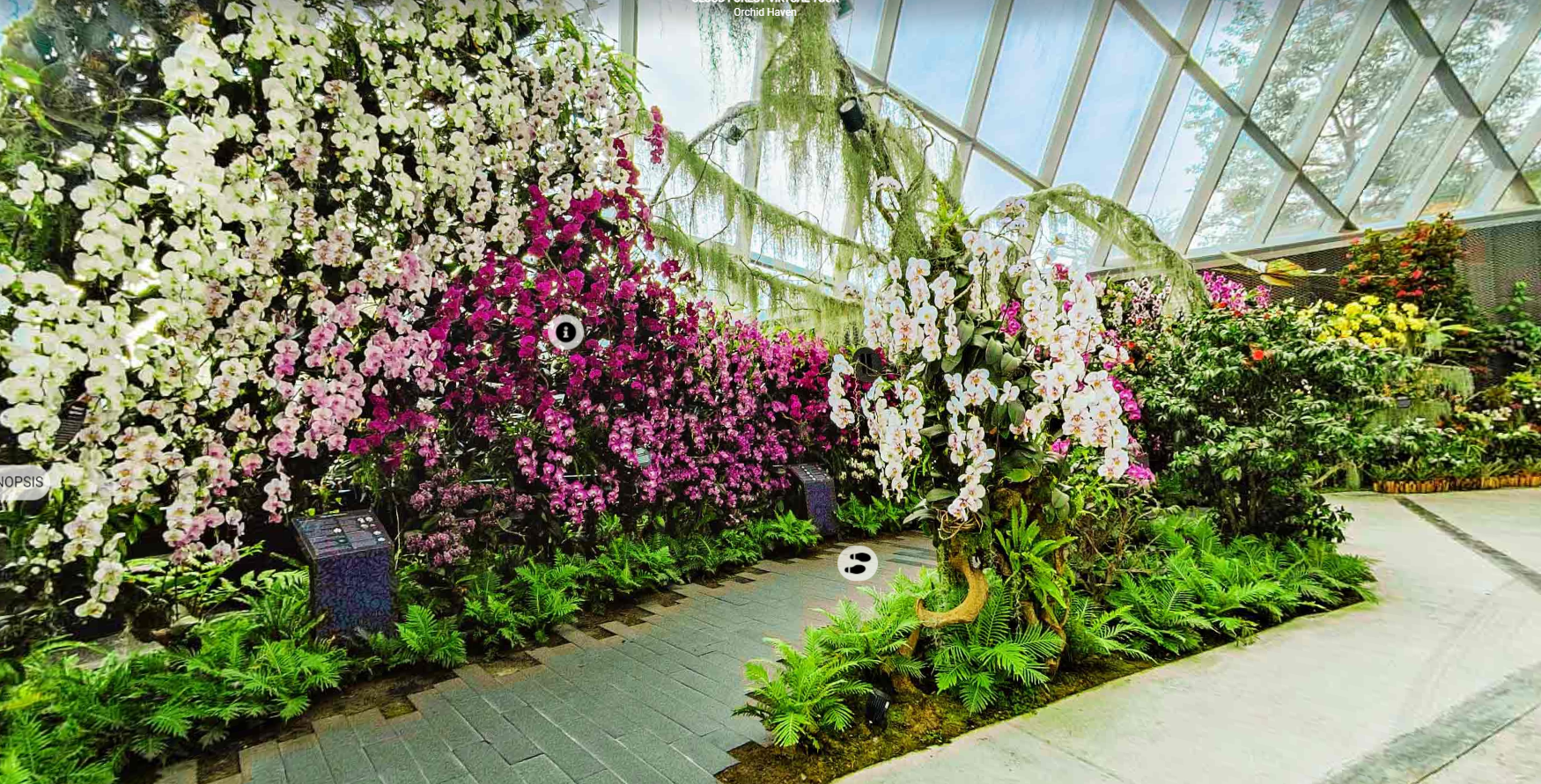 가든스 바이 더 베이 클라우드 포레스트