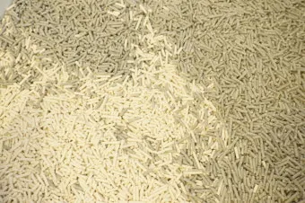 고양이 모래 추천 버리는법 벤토나이트 처리 탈취제_11