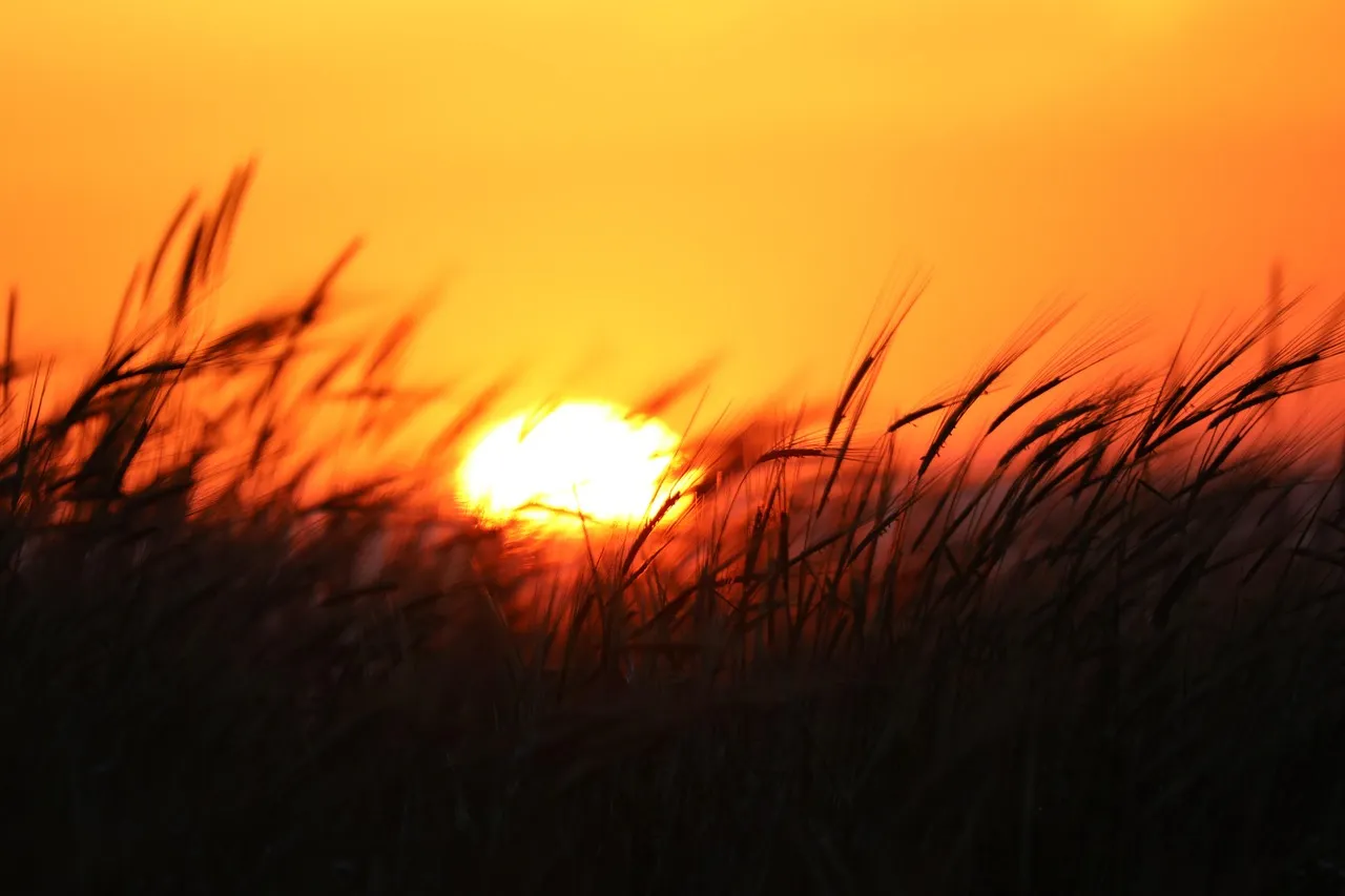 2026년 해돋이 명소