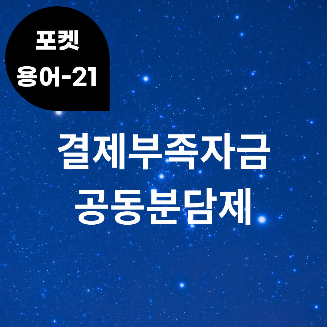 [포켓용어-21] 결제부족자금 공동분담제는 무엇?