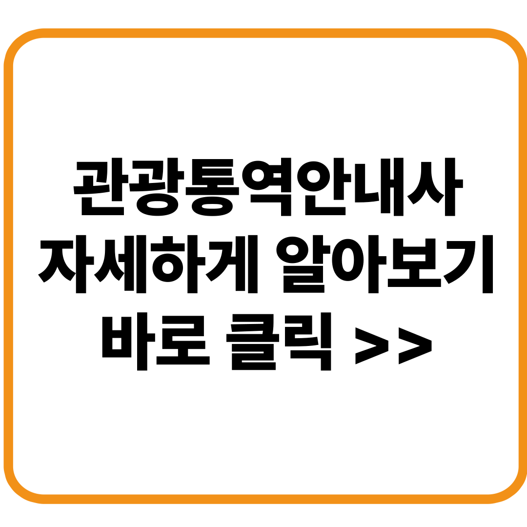 관광통역안내사