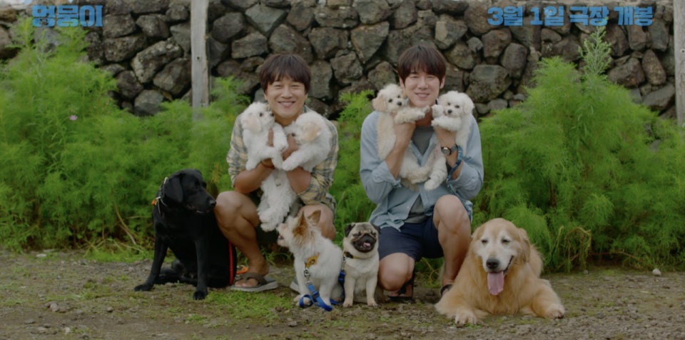 영화 멍뭉이 관련 사진