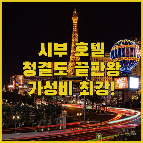 시부 인기 호텔 5종 비교 분석 리얼..