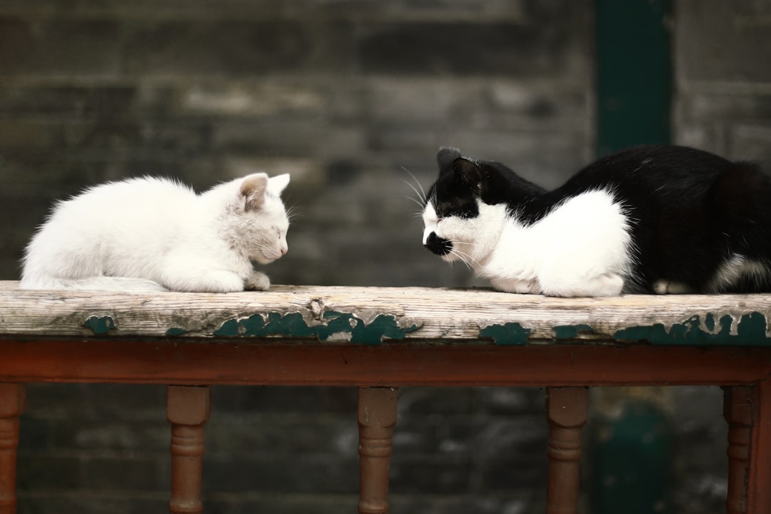 Negotiation.