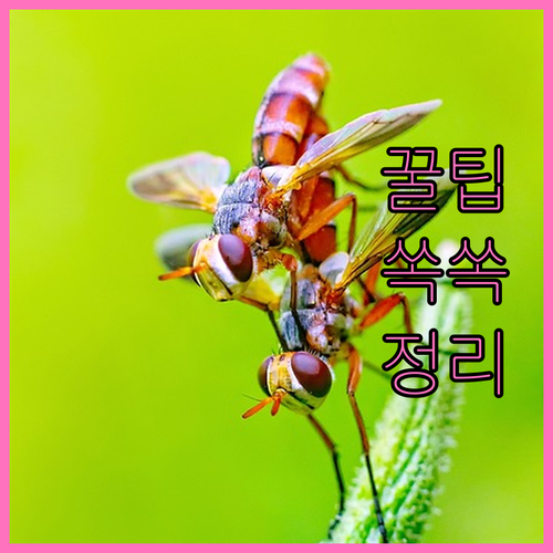 상생페이백 2025 신청 방법과 최대..