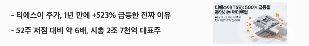 '티에스이 주가, 1년 만에 +523% 급등한 진짜 이유'라는 문구가 포함된 웹배너 이미지. 이 이미지는 티에스이의 1년 수익률과 52주 저점 대비 상승 폭, 시가총액 규모를 시각적으로 전달하며, 블로그의 티에스이 주가 전망 주제와 관련된 내용을 설명함