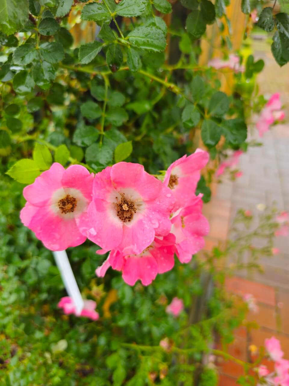장애인 여행권 보장 국제사례 비교