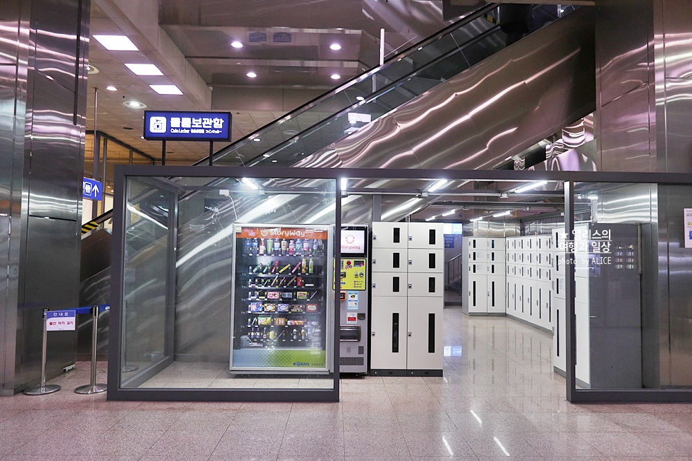 부산시티투어버스 모든 것: 요금, 할인, 코스, 시간표, 출발장소, 추천장소