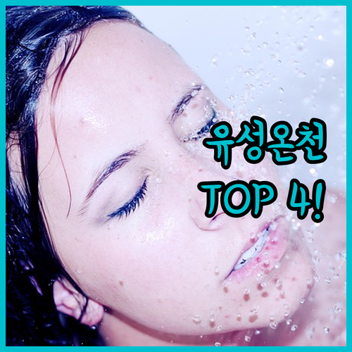 대전 유성구 숙소 추천 TOP 4 온..