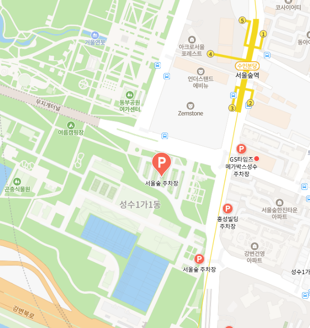 서울숲 주차장 - 별 헤는 서울숲 주차장 2