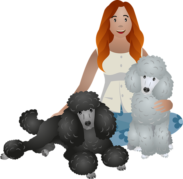 푸들강아지사료추천