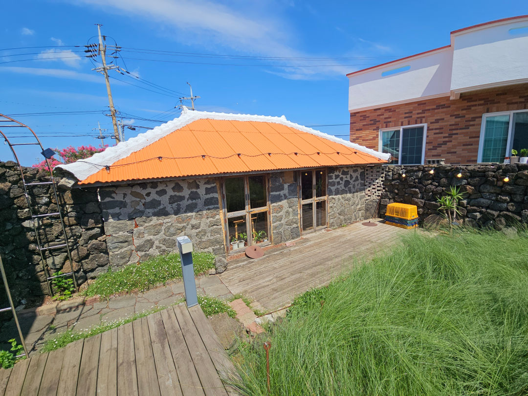 하도핑크 핑크뮬리