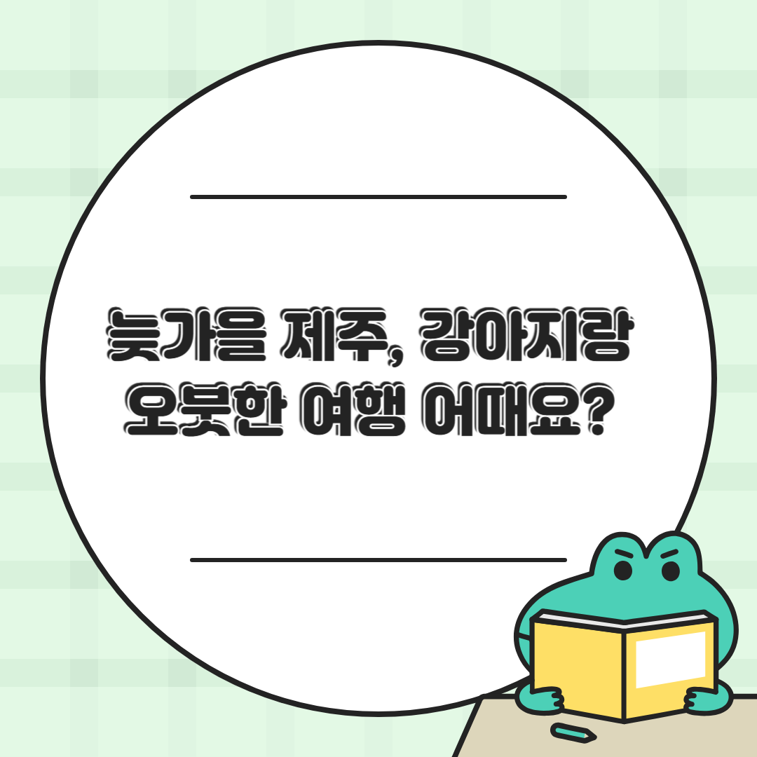 반려견과 함께 떠나는 11월 가을 여행지 – 제주도 추천 명소 6선