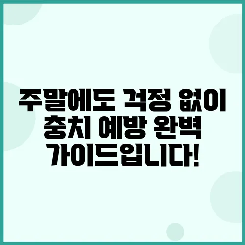 주말에도 걱정 없이 충치 예방 완벽 가이드입니다!