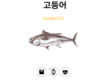 고등어에 대해 알아보자