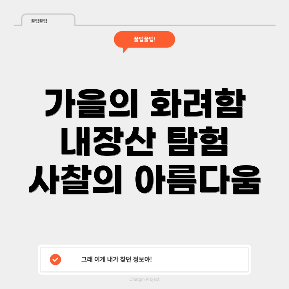 내장산의 가을 화려함