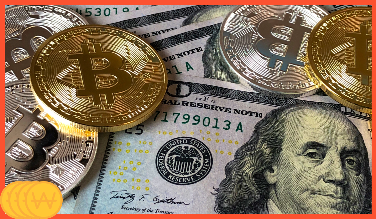 건강보험료 환급