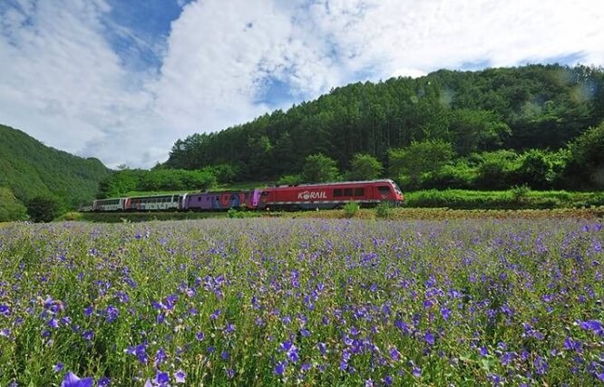 정선 가볼만한곳 베스트 10