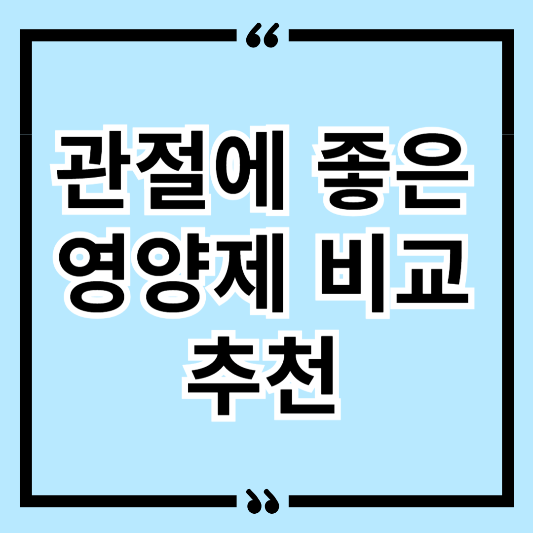 관절에 좋은 영양제 비교 추천(MSM vs 콘드로이친 vs 글루코사민)