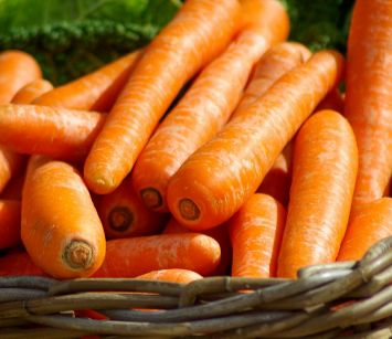 허리디스크에 좋은 음식