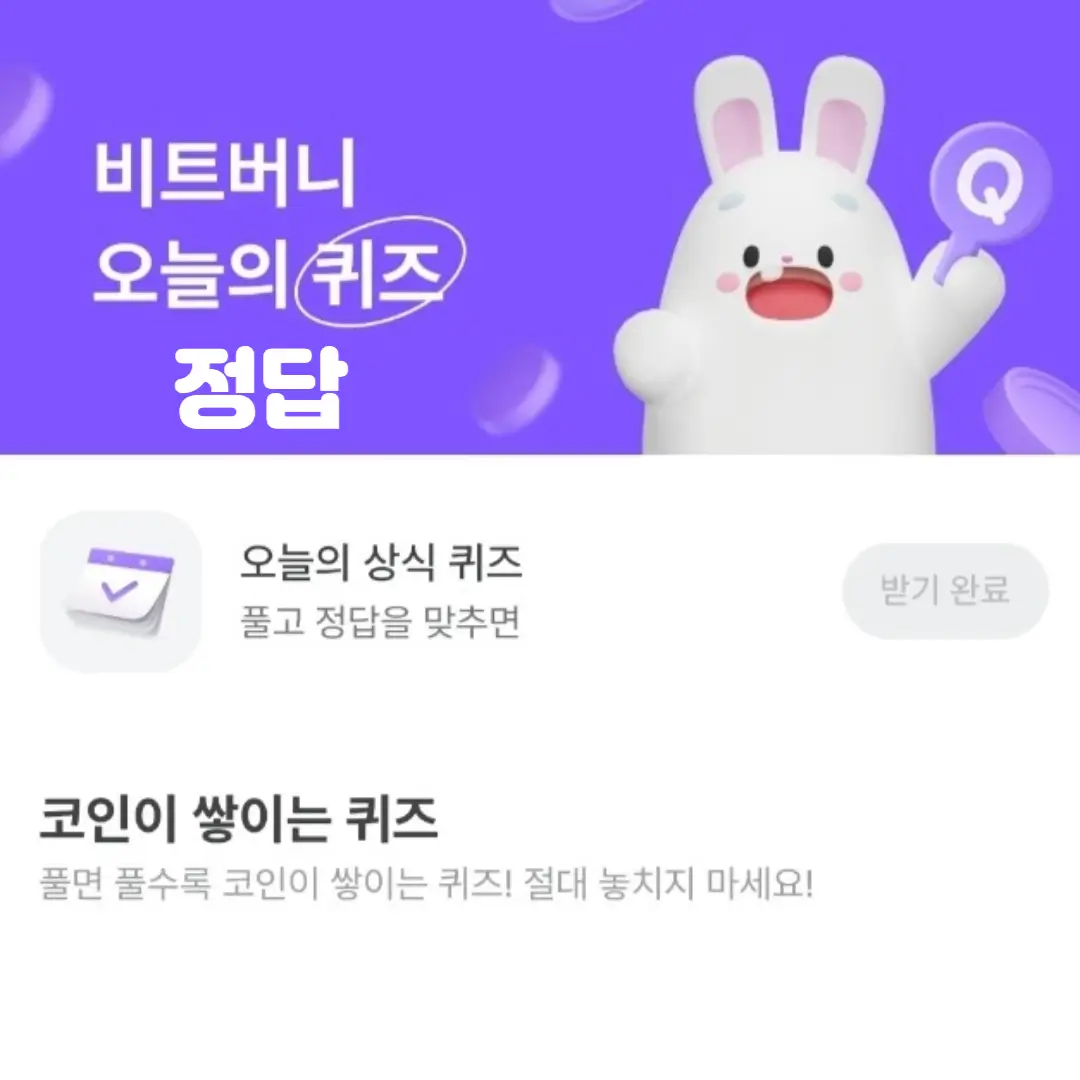 비트버니-퀴즈-정답