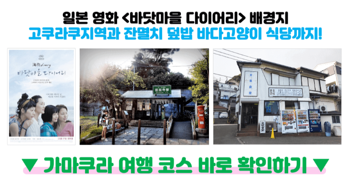 도쿄-근교-여행지-가마쿠라-에노시마-요코하마-하코네-이즈-닛코-카와고에-스이카-애플페이-일본-체크-카드-돈키호테-할인쿠폰