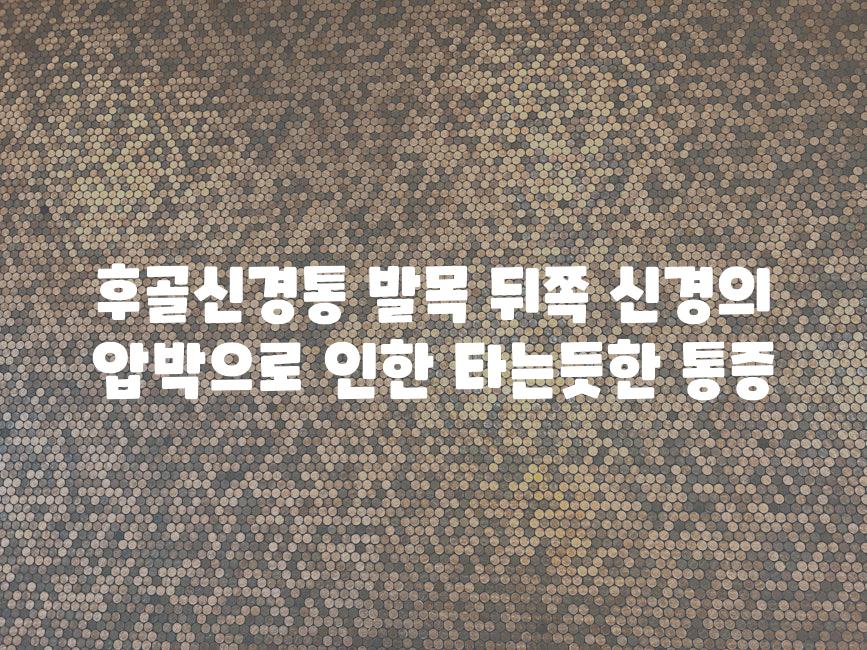 후골신경통 발목 뒤쪽 신경의 압박으로 인한 타는듯한 통증