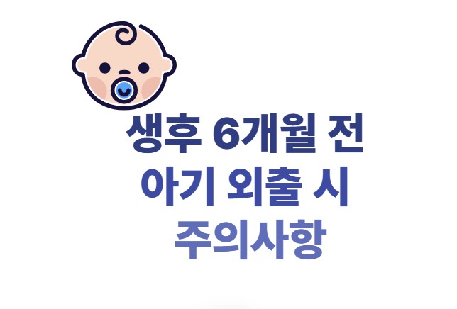 생후 6개월 전 아기 외출 시 주의사항