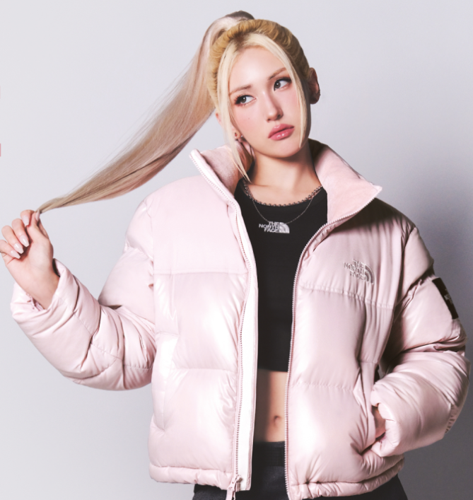 노스페이스 패딩 주요 특징