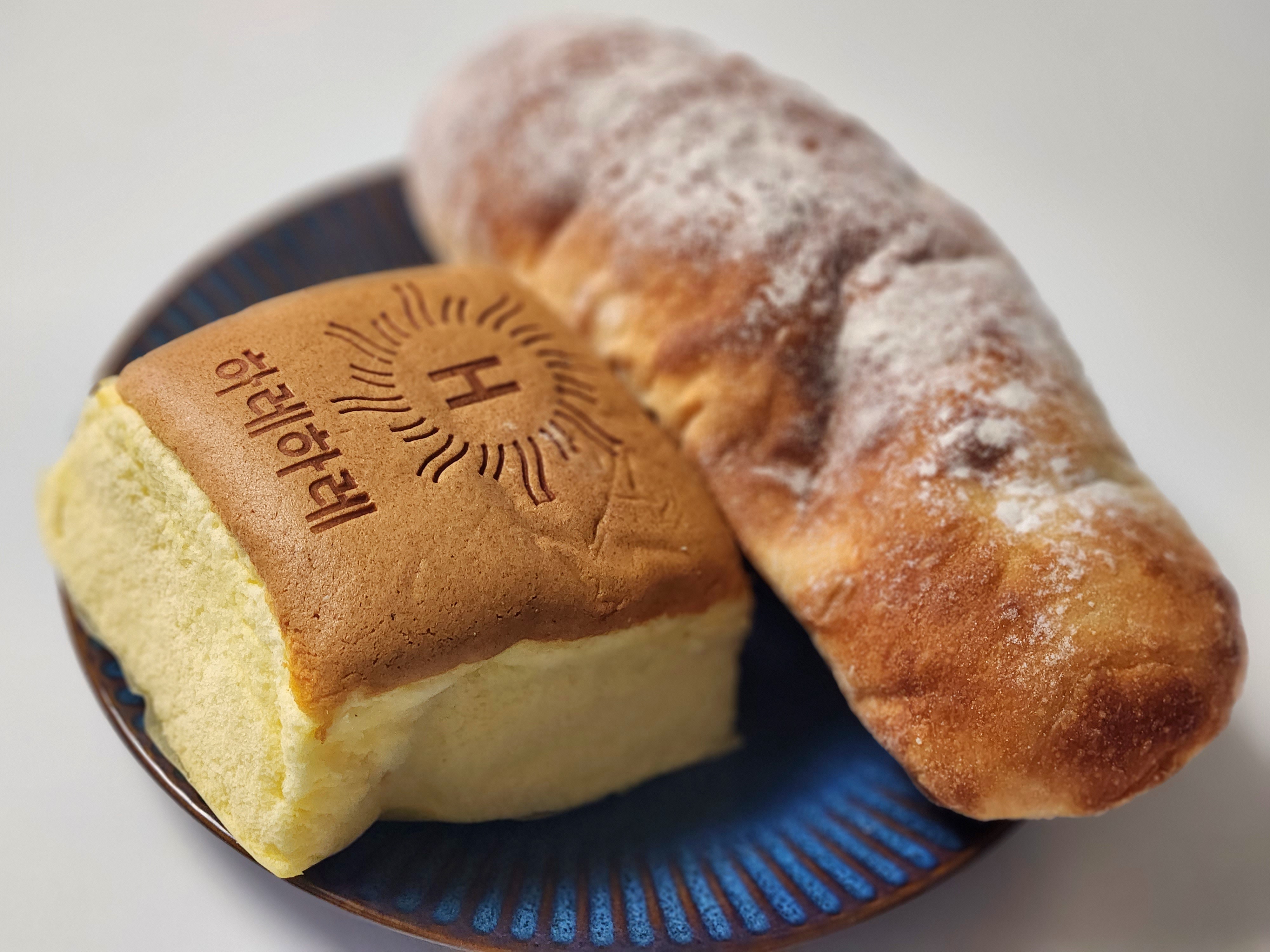 대전 서구 관저동 맛집 하레하레 하레치즈 감자 치아바타