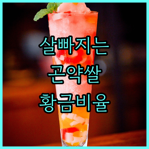 효과적인 체중 감량을 위한 곤약쌀 활..