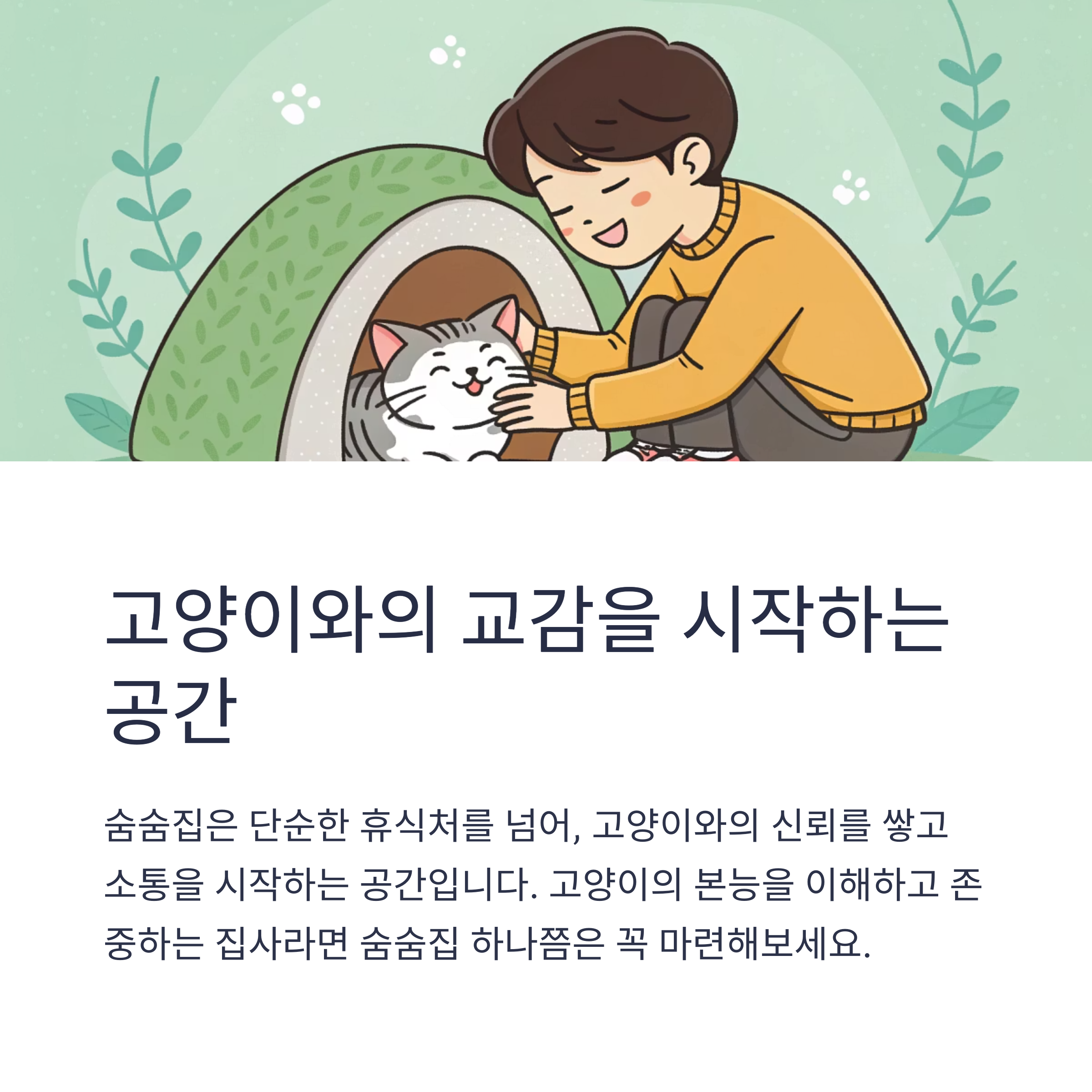 고양이와의 교감을 시작하는 공간