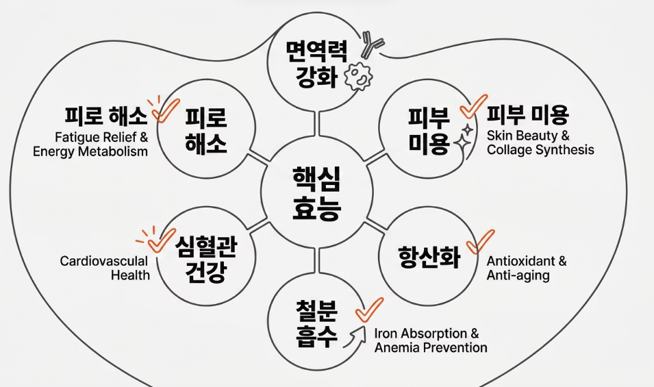 그린아세로라-효능-섭취방법-부작용-가격-추천