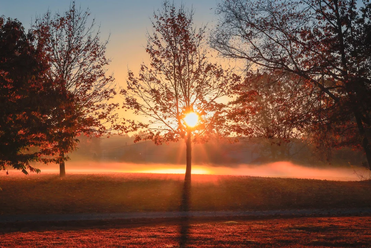 동해 해돋이 명소 2026 BEST 5 (정동진&#44;추암 촛대바위&#44;낙산해수욕장 등)