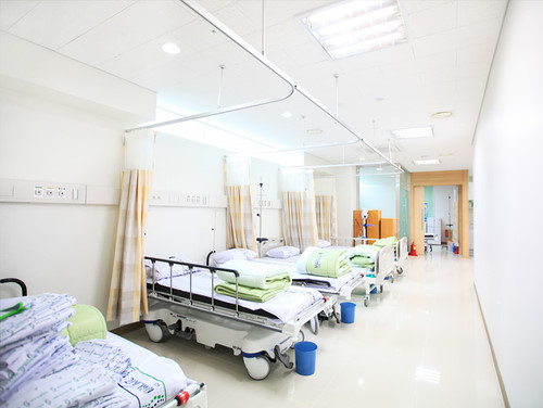 고양시 마두2동 정형외과 유명하고 잘하는 곳 추천 TOP 5