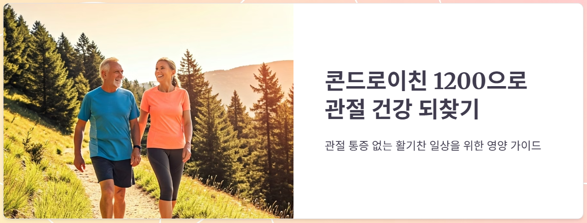 콘드로이친1200 효능, 가격, 부작용, 복용후기 총정리!