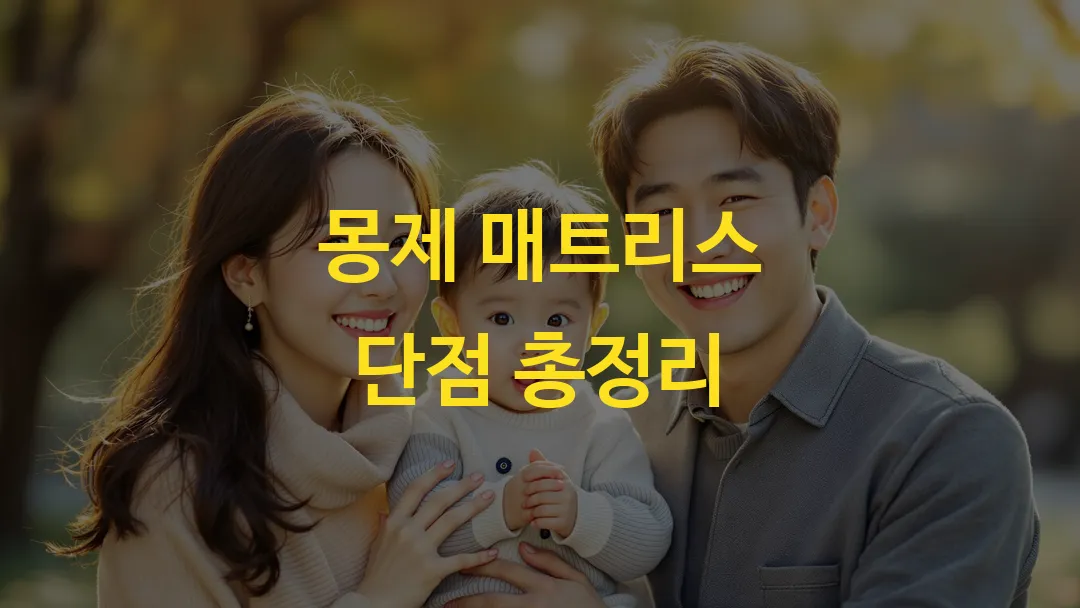 몽제 매트리스 단점 총정리