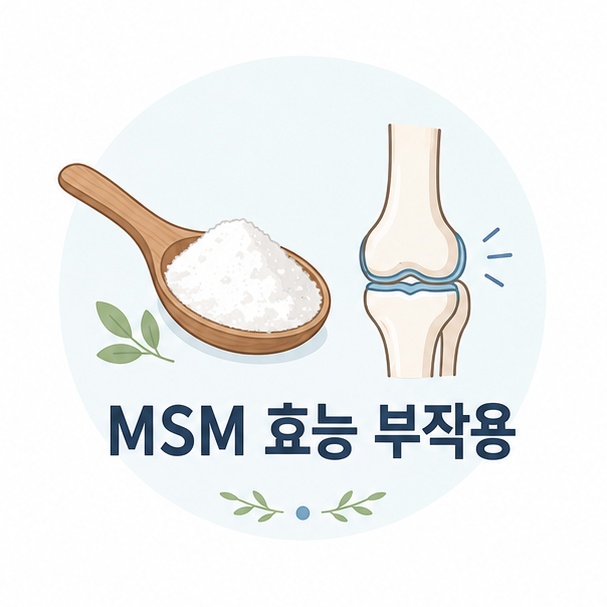 MSM 분말과 무릎 관절 아이콘으로 표현한 MSM 효능과 부작용