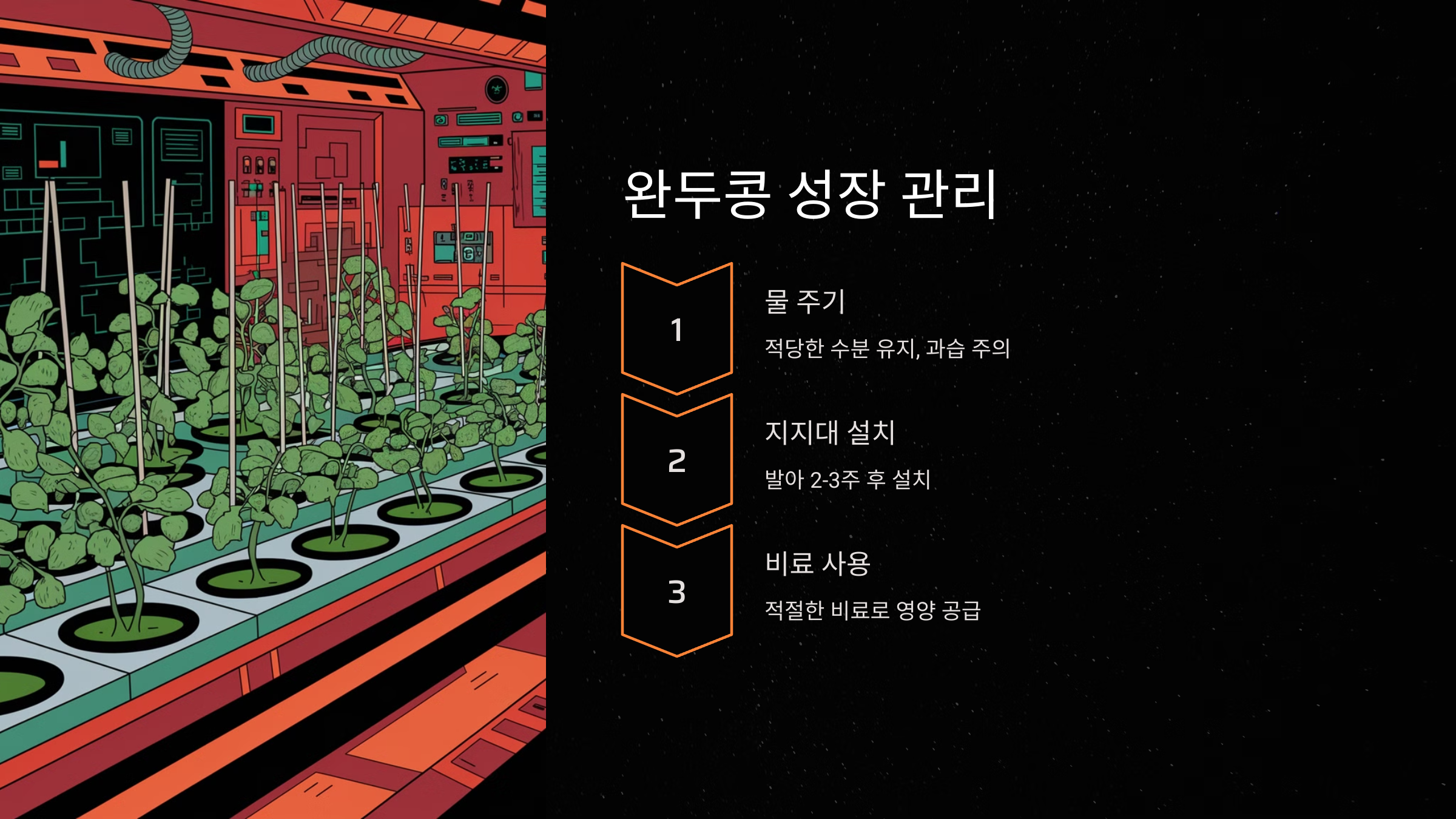 완두콩 성장 관리