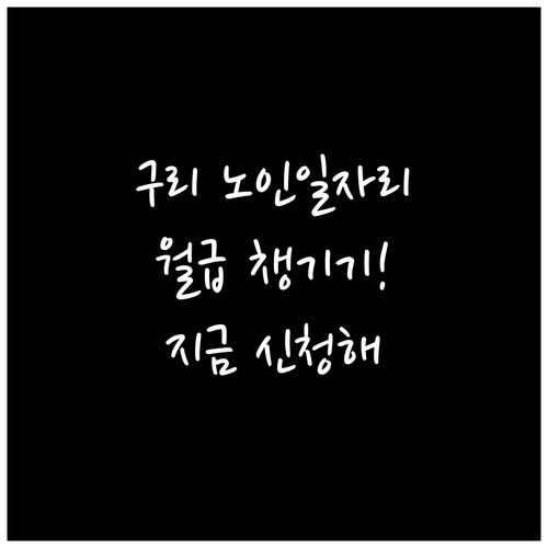 구리시 시니어클럽 노인 일자리 종류와..