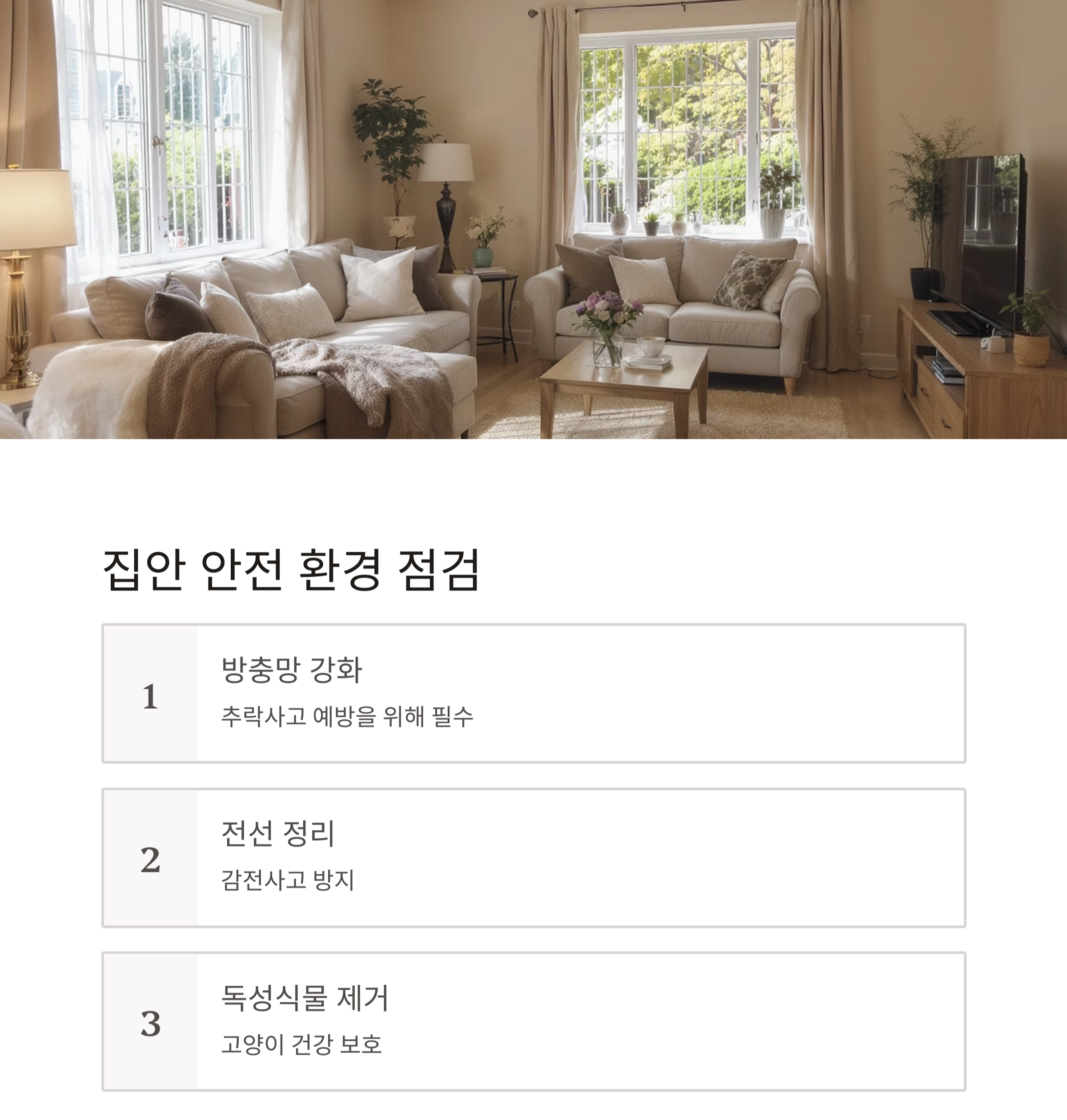 후회 없는 선택을 위한 고양이 입양 전 체크리스트