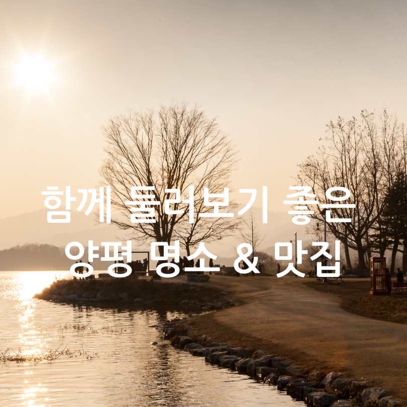 2025 양평 세미원 연꽃축제