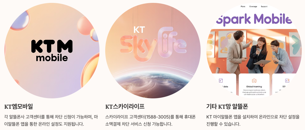 KT망 알뜰폰 이용자 차단 방법 정리 이미지