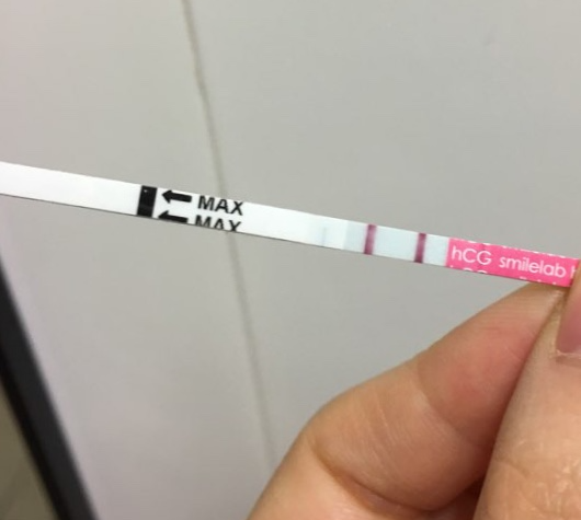 원포테스트기 임신 반응